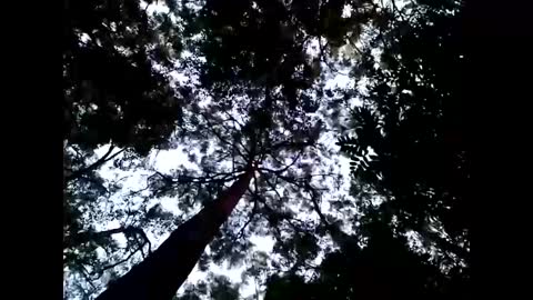 Matriarch Muse online show from 01.26.25