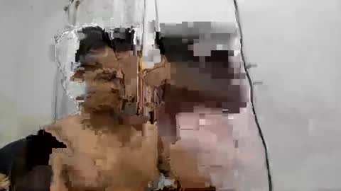 cmsdeivis online show from 03.04.26