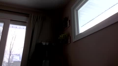 COACH online show from 12.14.25