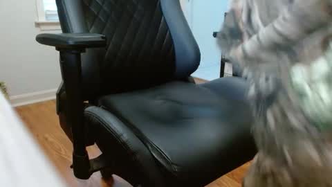 cobra19765 online show from 01.17.26