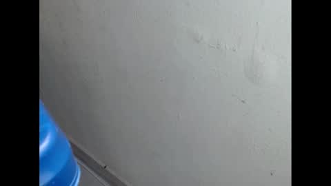 cockfanx online show from 02.21.25