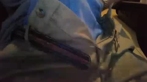 cocksmana online show from 01.19.26