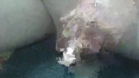 cocktoys online show from 02.02.26