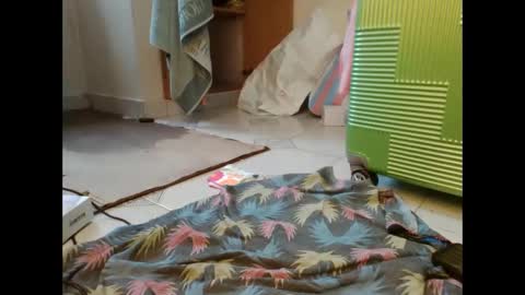 coco vixen9 online show from 11.29.25