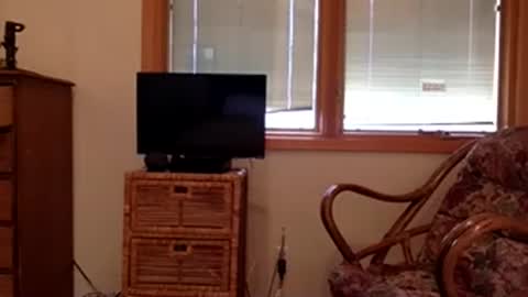 Code By Nova online show from 11.08.25