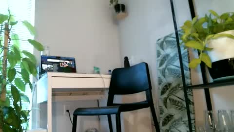 Noni online show from 02.28.25