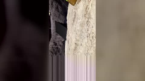 comeongirlts online show from 04.27.26