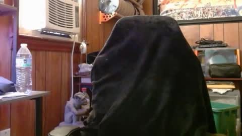 Nelson or ComicKing and sometime Peachy143 online show from 05.04.26