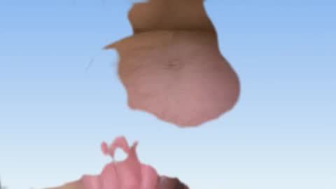 whatever you want it to be online show from 02.24.26