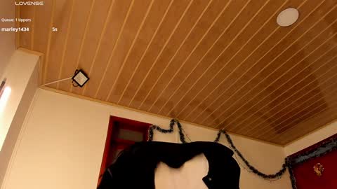 Snapshot of coquette_johnson chatting on 12.29.24 Coquette Johnson online show from 12.29.24