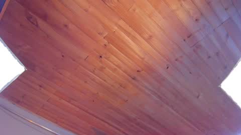 Coraline online show from 01.25.25