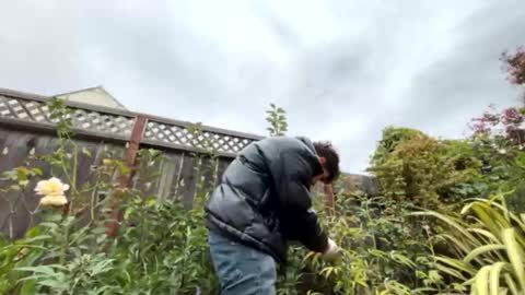 coronelking online show from 09.28.25