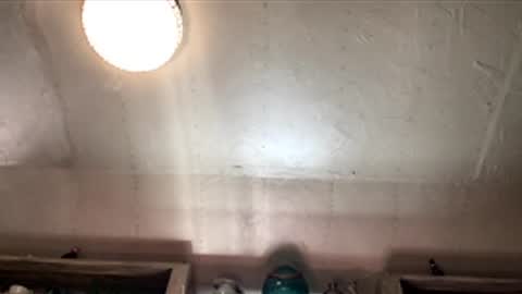 countryjoe2002 online show from 12.18.25