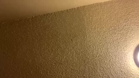 Snapshot of couplebroad_ chatting on 03.03.25 couplebroad_ online show from 03.03.25