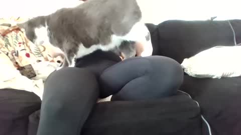 courtxoxo_o online show from 02.20.25