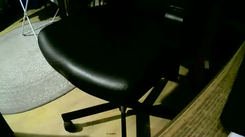 coyote017 online show from 02.25.25