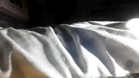 crave_me_ online show from 11.30.25