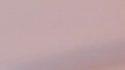 Caro  Andrew online show from 01.27.25