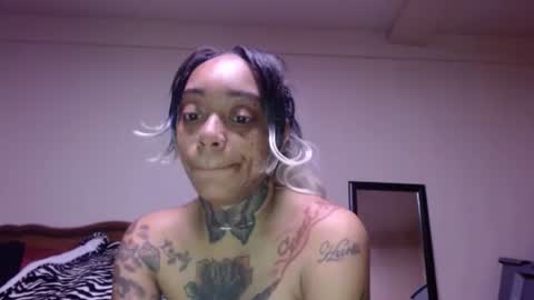 CreamyExotica online show from 01.16.26