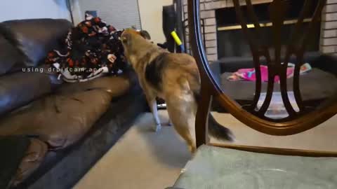 Snapshot of creeeping_death chatting on 09.27.25 The hopeless romantic online show from 09.27.25