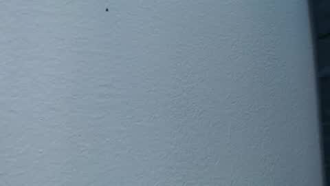 Hanna  online show from 02.15.25