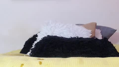    online show from 01.15.25