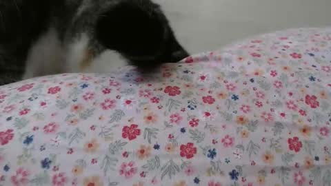 cristiyna36 online show from 03.25.26