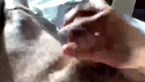 Crushit online show from 01.10.26