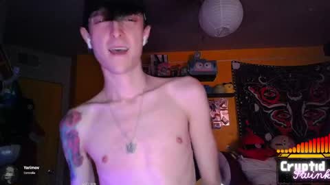 CryptidTwink online show from 04.07.26