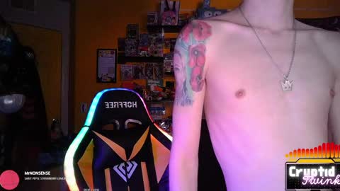 CryptidTwink online show from 04.20.26