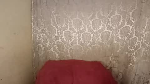 carol     online show from 04.06.26