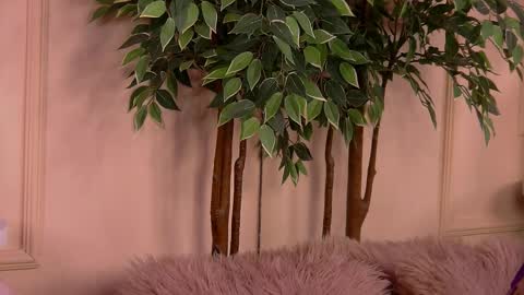 Snapshot of crystallred chatting on 02.18.26 crystallred online show from 02.18.26