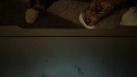 CuddleFuckXXX online show from 04.03.26