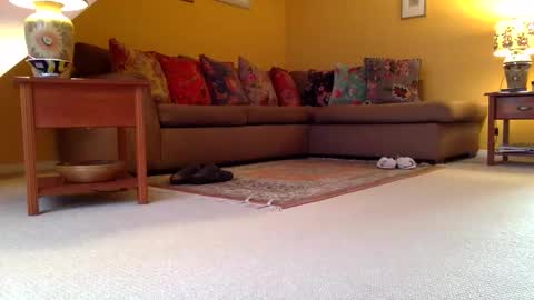 cumonherguys online show from 11.07.25