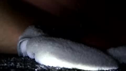 Snapshot of cumsinmealot chatting on 01.14.25 Aprilia online show from 01.14.25