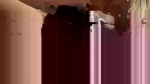 Snapshot of cumsinmealot chatting on 02.22.25 Aprilia online show from 02.22.25