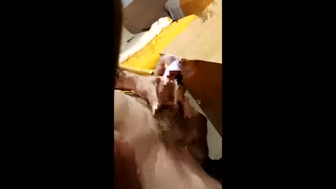 Snapshot of cunnemammaru chatting on 12.16.25 cunnemammaru online show from 12.16.25