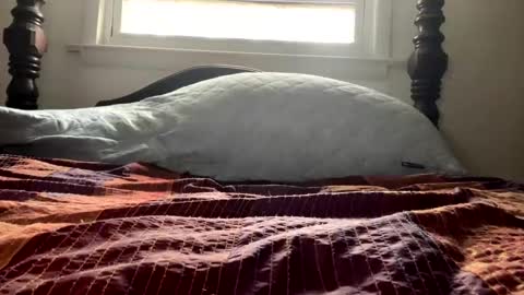 Curiousperformance online show from 12.04.24