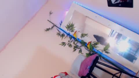 Snapshot of cute_ts_charlott chatting on 12.17.24 danny online show from 12.17.24