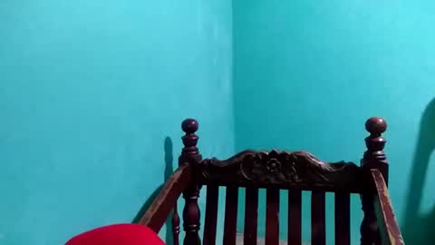 Sky online show from 01.04.25