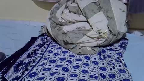 cuttepappy online show from 06.15.26
