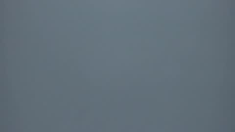 Cynthia  online show from 12.15.25