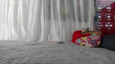 daani_hott online show from 01.09.26