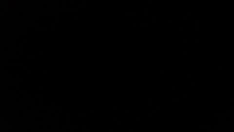 Snapshot of dabirdfree chatting on 12.04.24 Destroyer online show from 12.04.24