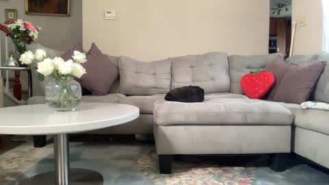 Belle  Email daddydaycarecb  online show from 02.22.26