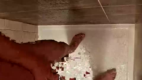 LetsHaveFunTogether online show from 10.29.25