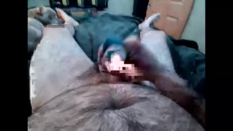 daddycumming1991 online show from 03.12.26