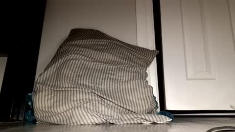 daddyplumber1 online show from 12.21.25