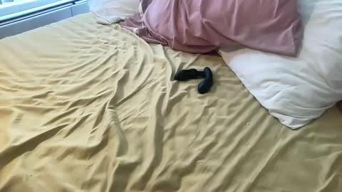 Snapshot of dadstrokin chatting on 03.08.26 dadstrokin online show from 03.08.26