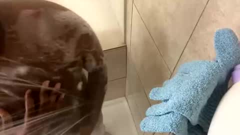 Snapshot of dafoxxx876 chatting on 11.24.25 dafoxxx876 online show from 11.24.25